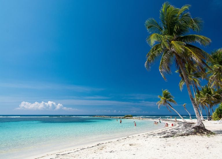 Voyage en Guadeloupe : véritable trésor des Caraïbes aux multiples  facettes, notre guide touristique !