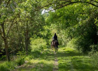 Voyager autrement : voici les 5 meilleures destinations à découvrir à cheval !