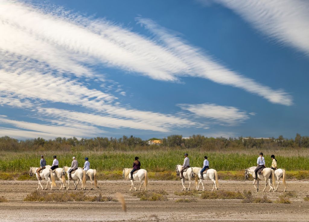 Randonnée équestre en Camargue. Randonnée équestre en Camargue.