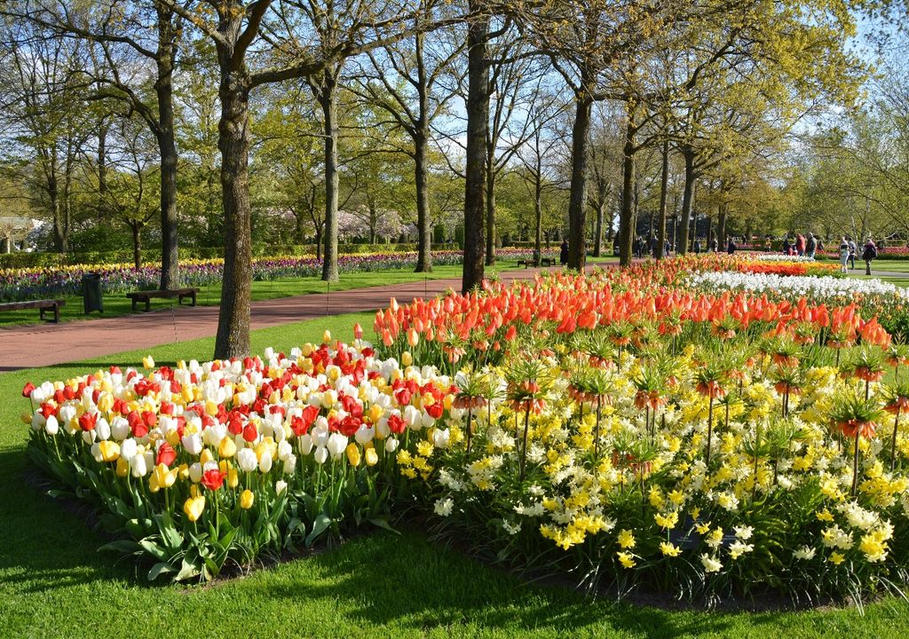 jardin jardin