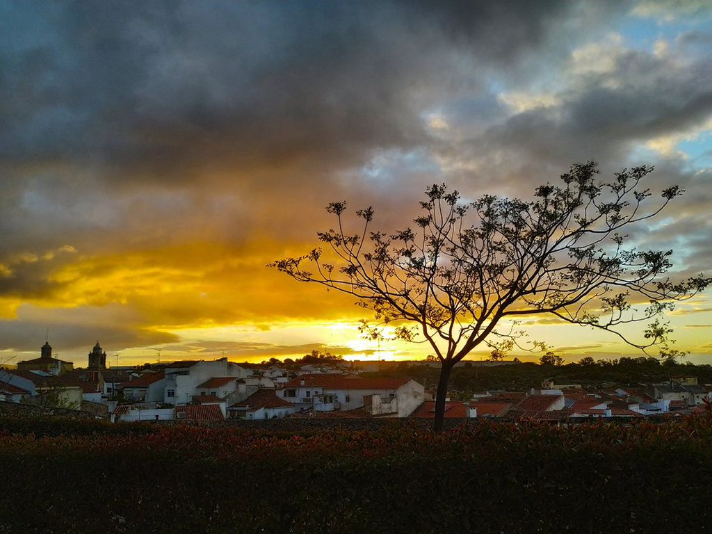 Atardecer Atardecer