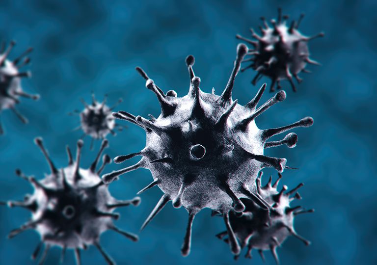 Sale a la luz el "virus zombi" más antiguo de la historia Sale a la luz el "virus zombi" más antiguo de la historia