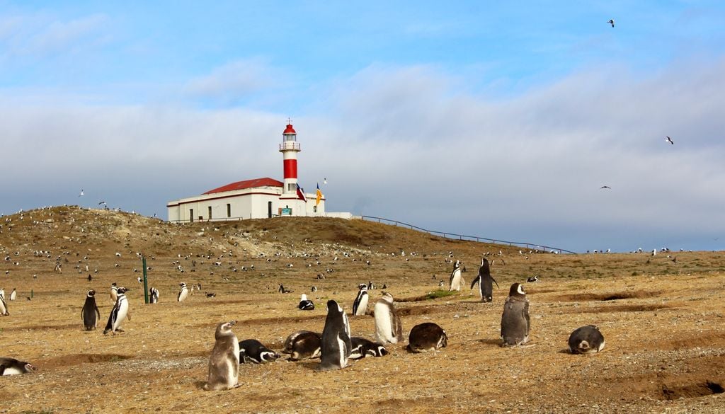 Faro de isla Magdalena, Patagonia chilena. El faro Magdalena es todo un ícono de la Patagonia chilena.
