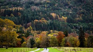 Vulnerabilidad creciente de los bosques europeos al cambio climático