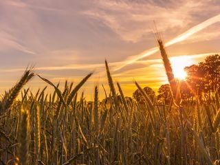 Nicht nur in Deutschland: Wärmster September aller Zeiten! Was sind die Ursachen? Ist der Klimwandel schuld? 