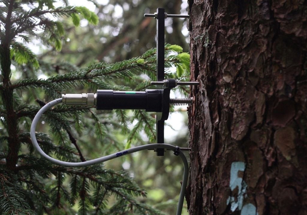 Punktdendrometer werden am Stamm montiert und messen kontinuierlich und im Mikrometerbereich, wie stark der Baumstamm tatsächlich wächst. Punktdendrometer werden am Stamm montiert und messen kontinuierlich und im Mikrometerbereich, wie stark der Baumstamm tatsächlich wächst.