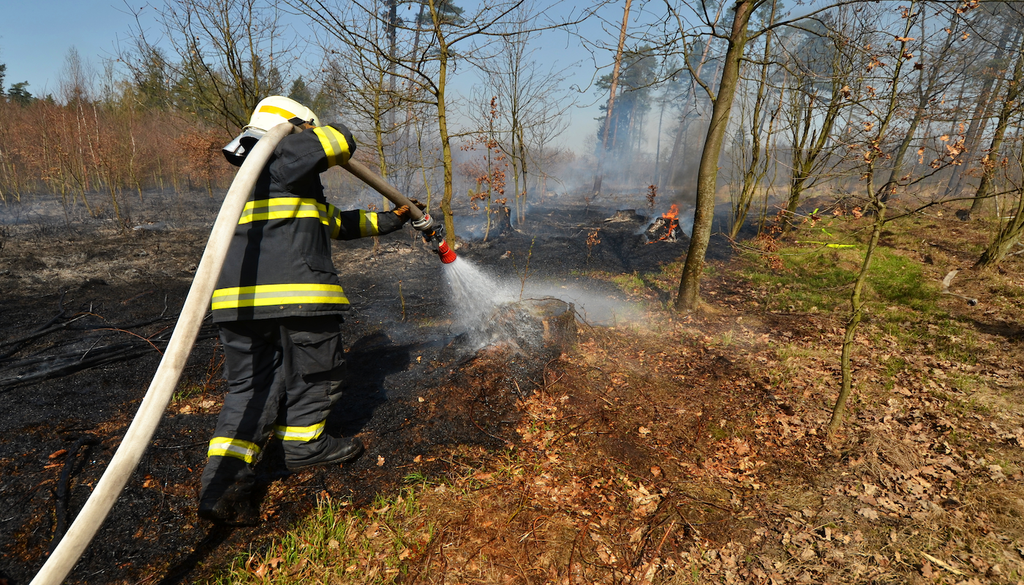 Der Kampf gegen die Flammen geht weiter: Regen unterstützt die Löscharbeiten – doch kräftiger Wind könnte die Situation im Hohen Venn erneut verschärfen. (Symbolbild)