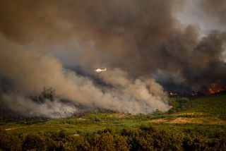 Waldbr&auml;nde in Europa 2026: Die schwersten Br&auml;nde im &Uuml;berblick