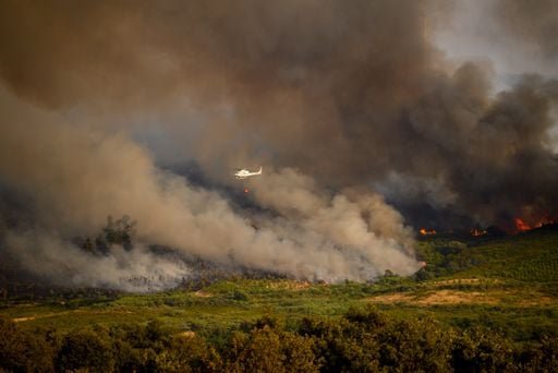 Waldbr&auml;nde in Europa 2026: Die schwersten Br&auml;nde im &Uuml;berblick