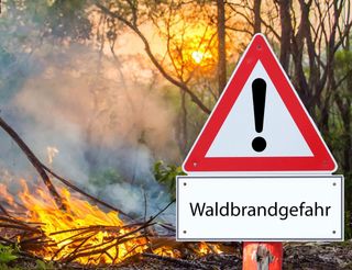 Waldbrandgefahr explodiert – und das schon im März! Wetter-Experte warnt: Was das für den Sommer bedeuten könnte