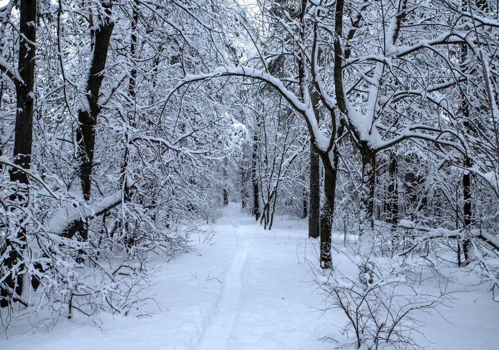 erster schnee, deutschland