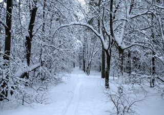 Wann gibt´s den ersten Schnee? Wie lange können sich die warmen Luftmassen in Deutschland noch halten?