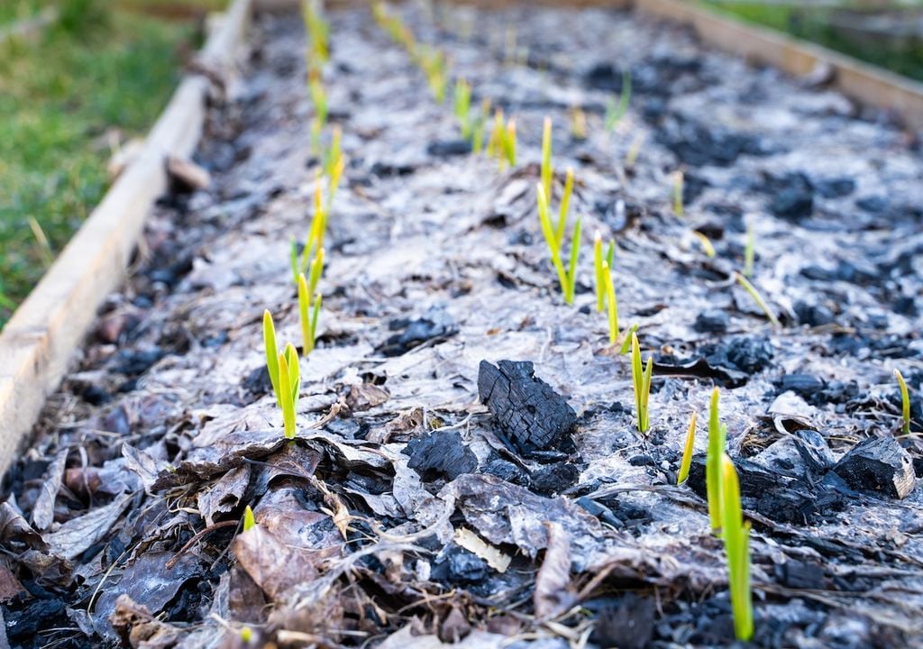 Düngen, Gartenjahr, Pflanzen, Böden, Nährstoffe