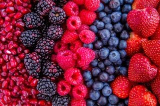 Want Fresh Berries in the Off-Season? Grow Strawberries Inside