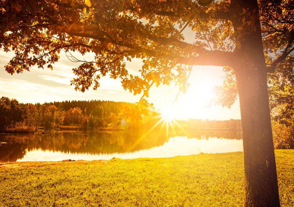 sommer, herbst, wärme