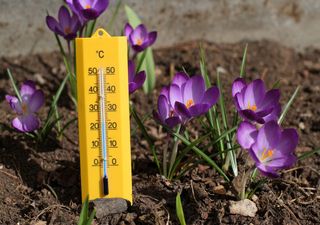 Nächste Woche 15°C in Deutschland: Jetzt kommt plötzlich der Frühling!