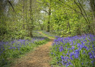 Warmer weather coming, but tempered by rain for some