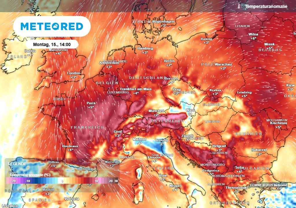 mild, dezember, rekord