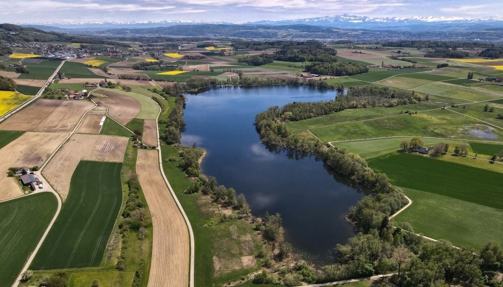 Luftaufnahme des Hüttwilersees im Kanton Thurgau, Schweiz. Die Sedimente in diesem und zwei weiteren Seen gewähren Einblicke in die Pflanzenvielfalt seit der Jungsteinzeit. Luftaufnahme des Hüttwilersees im Kanton Thurgau, Schweiz. Die Sedimente in diesem und zwei weiteren Seen gewähren Einblicke in die Pflanzenvielfalt seit der Jungsteinzeit. Bild: Thomas Stadler, Zürich