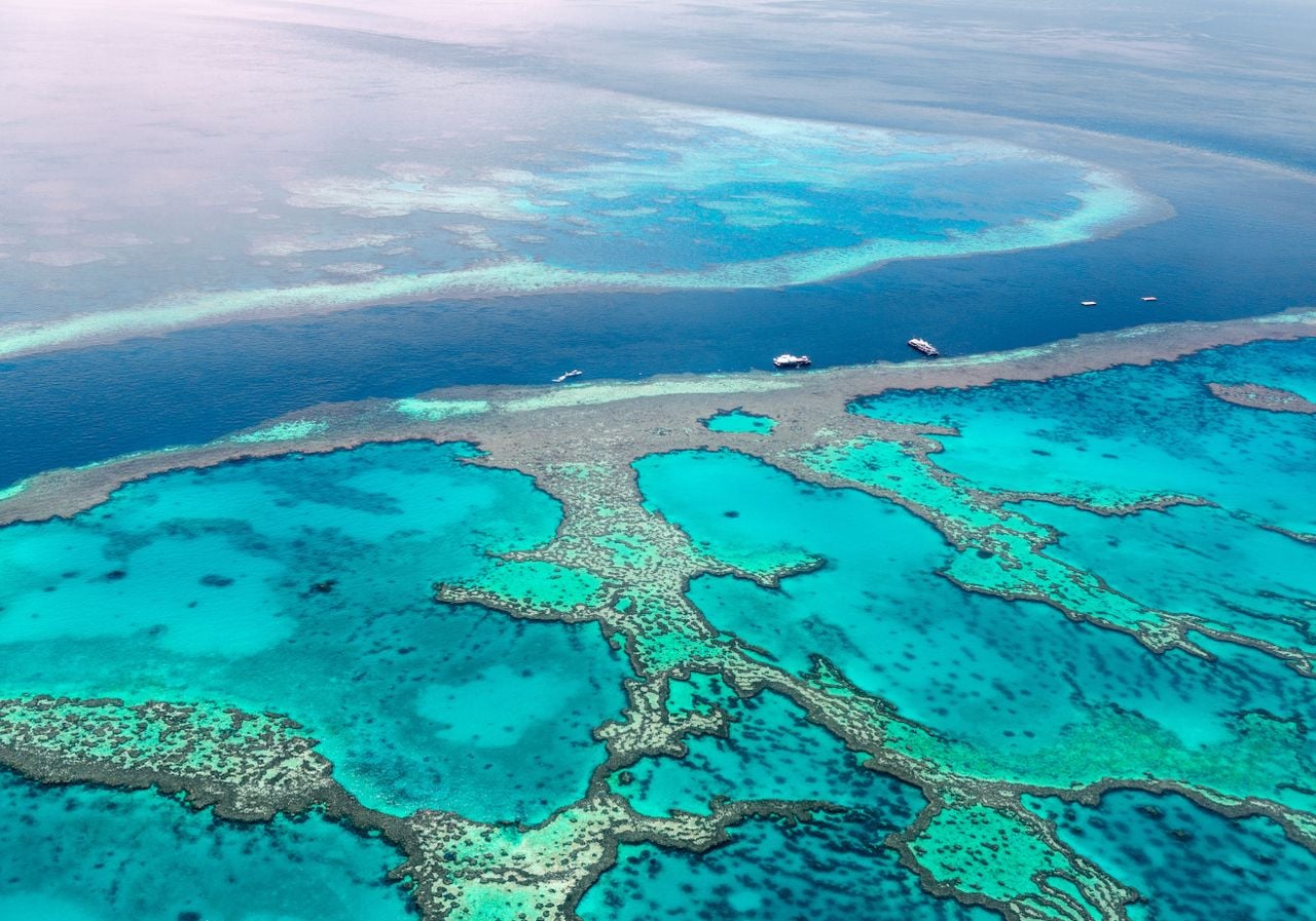 El color azul verdoso por sí solo puede tranquilizarnos.