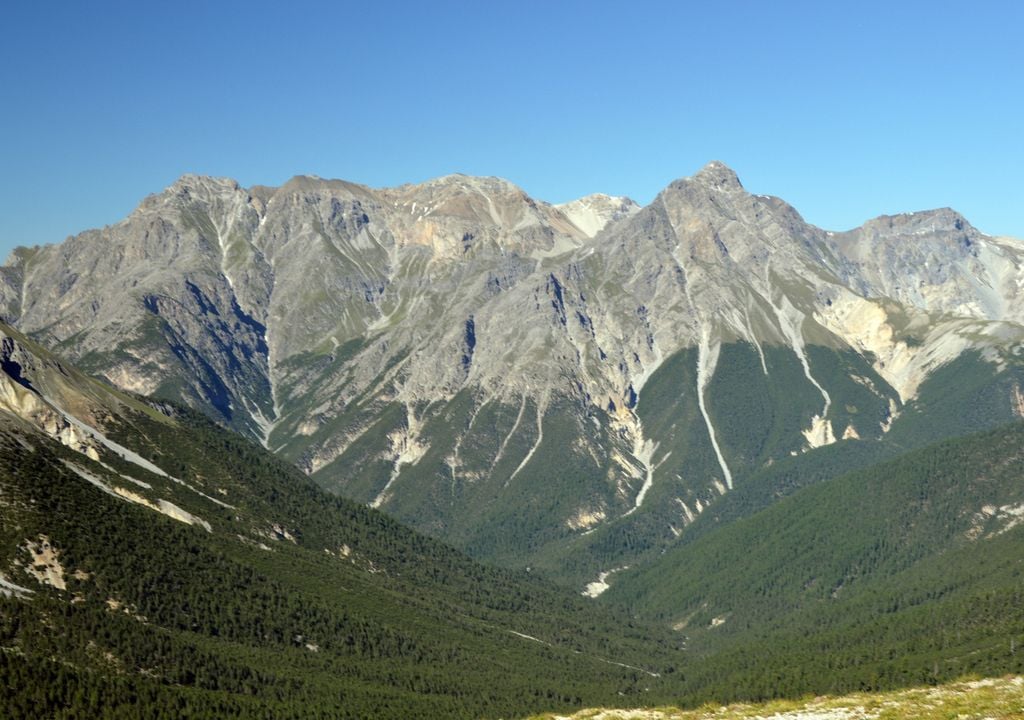 Gut sichtbare Baumgrenze im Schweizerischen Nationalpark, Graubünden. Bild: Sabine Rumpf/Universität Basel