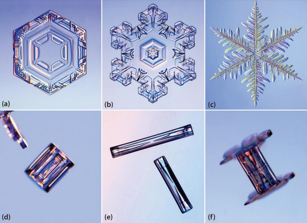Schneekristalle kommen in verschiedenen Erscheinungsformen vor, typische Arten sind (a) flache Plättchen, (b, c) sechsarmige Kristalle, (d) Säulen, (e) Nadeln und (f) Mischformen.