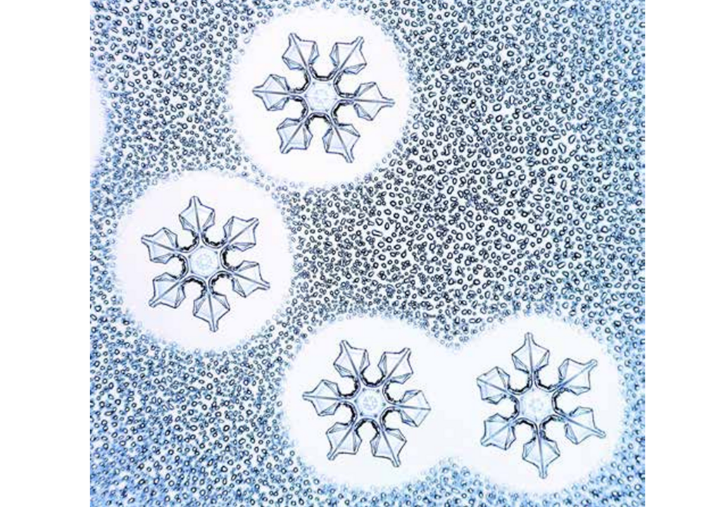 Im Labor können bereits nahezu identische Schneeflocken erschaffen werden.