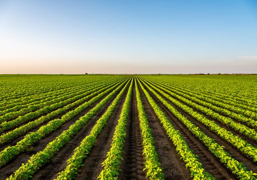 Was bedeuten die neuen Gentechnik-Regelungen der EU?