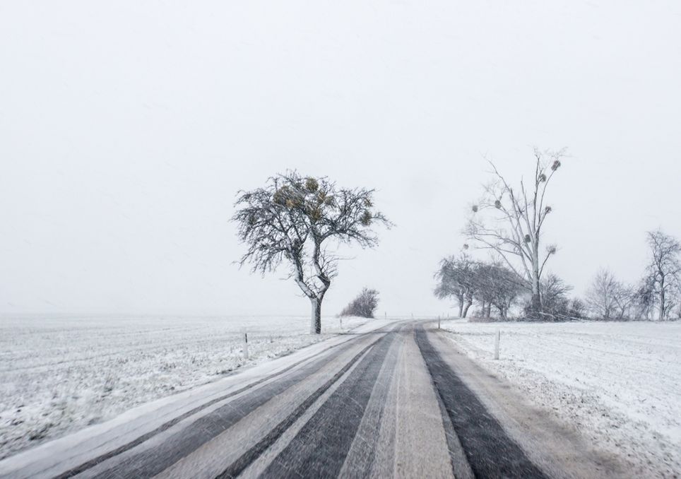 Was Bringt Die Zweite Winterhalfte