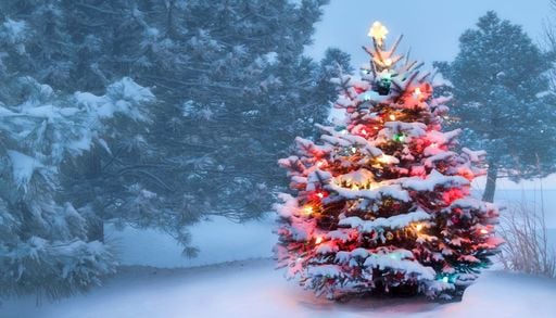 Was der 100-j&auml;hrige Kalender f&uuml;r Weihnachten 2026 vorhersagt, l&auml;sst Winterfans schlucken &ndash; und dann kommt Silvester