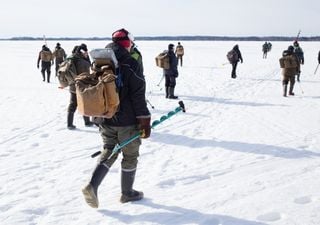 Was Eisangel-Wettbewerbe &uuml;ber Entscheidungen verraten: So beeinflussen soziale Informationen die Nahrungssuche
