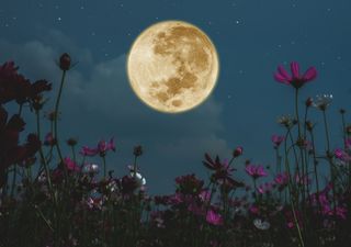 Was hat der Mond mit der Menstruation bei Frauen zu tun?