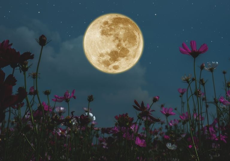 ¿Qué tiene que ver la Luna con la menstruación en las mujeres?