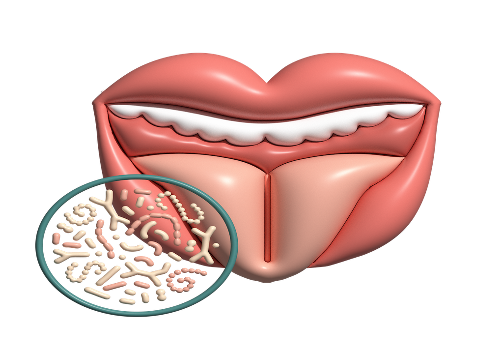 Orale Mikrobiota, Menschen, Lebensweise