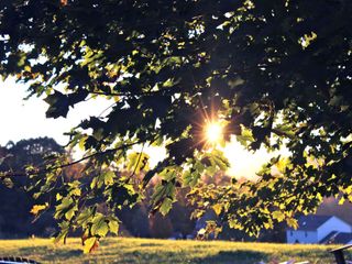 Was the Easter heatwave due to climate change?