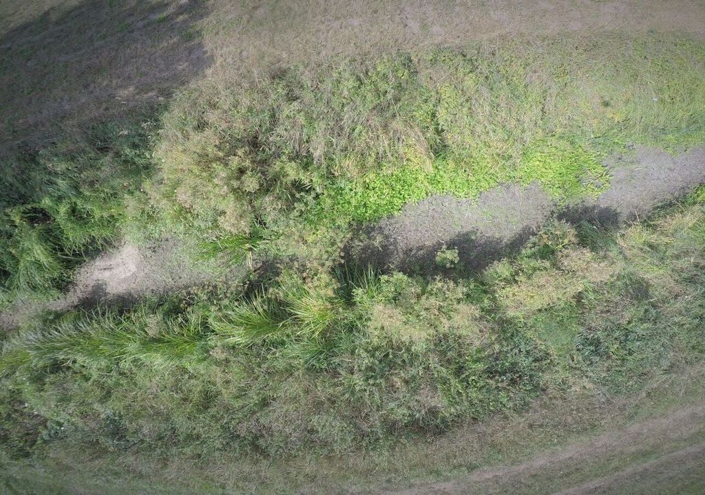 Ein ausgetrocknetes Fließgewässer im Demnitzer Mühlenfließ in Brandenburg. Ein ausgetrocknetes Fließgewässer im Demnitzer Mühlenfließ in Brandenburg.