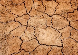 Wassersicherheit: Dürre und Starkregen beeinflussen zunehmend die Qualität des Grundwassers