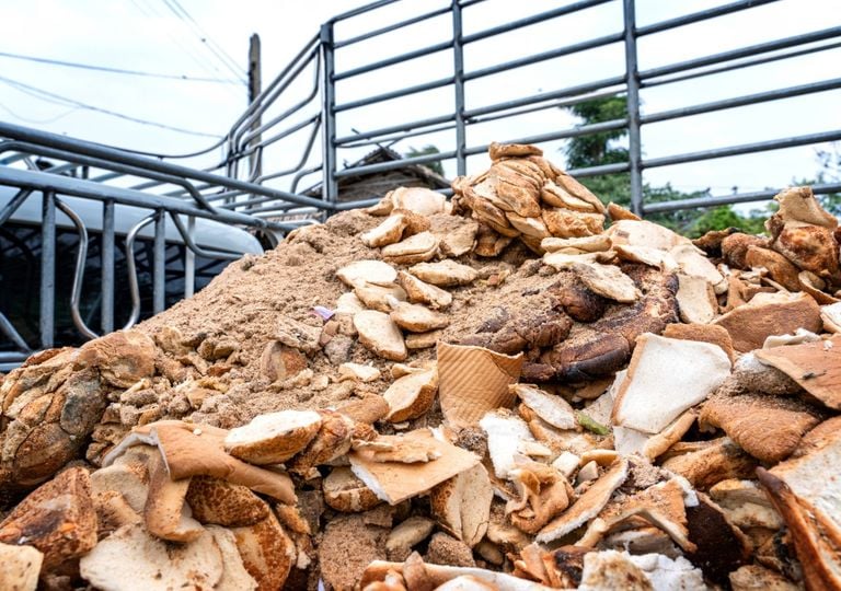 Waste bread key to removing fossil fuels from hydrogenation, Edinburgh team say