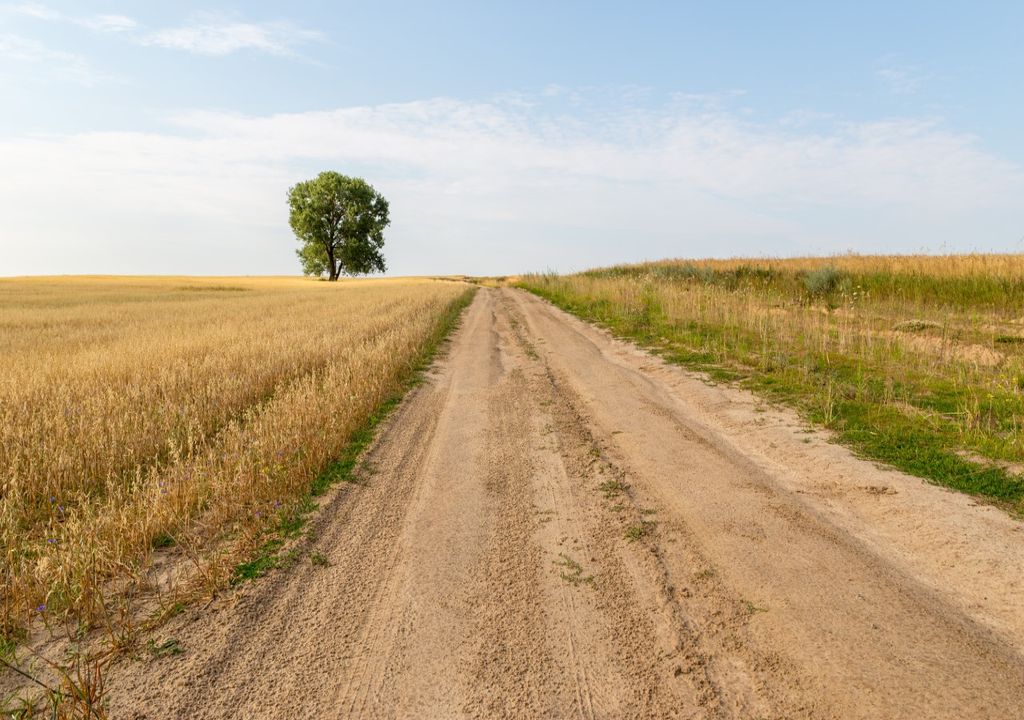 Dry Fields