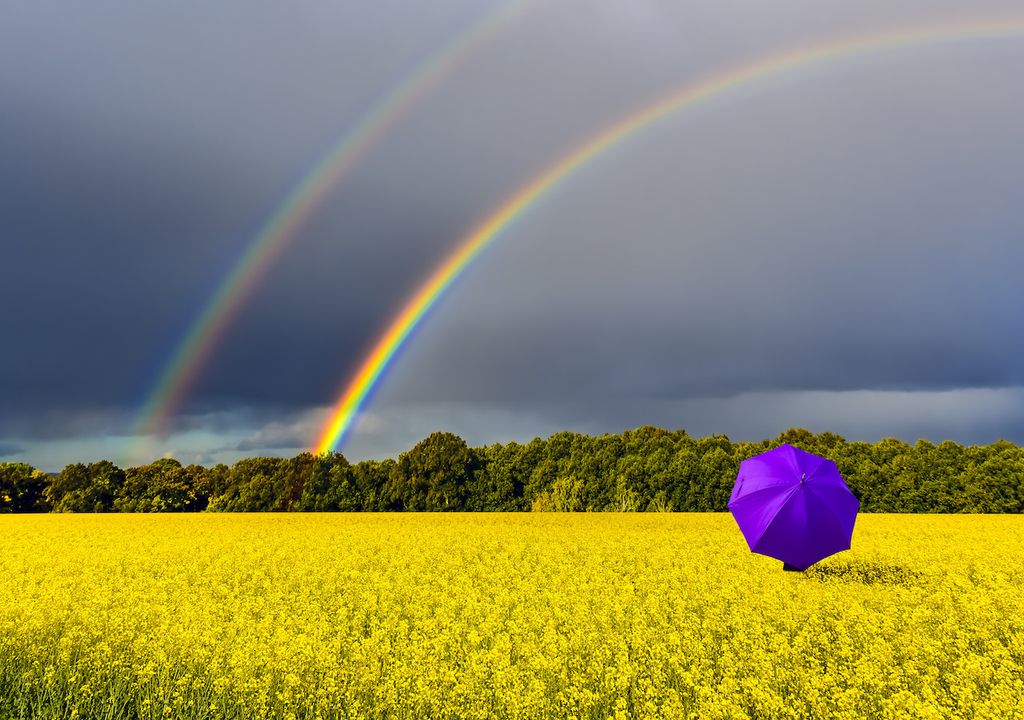 rainbow and umbrella