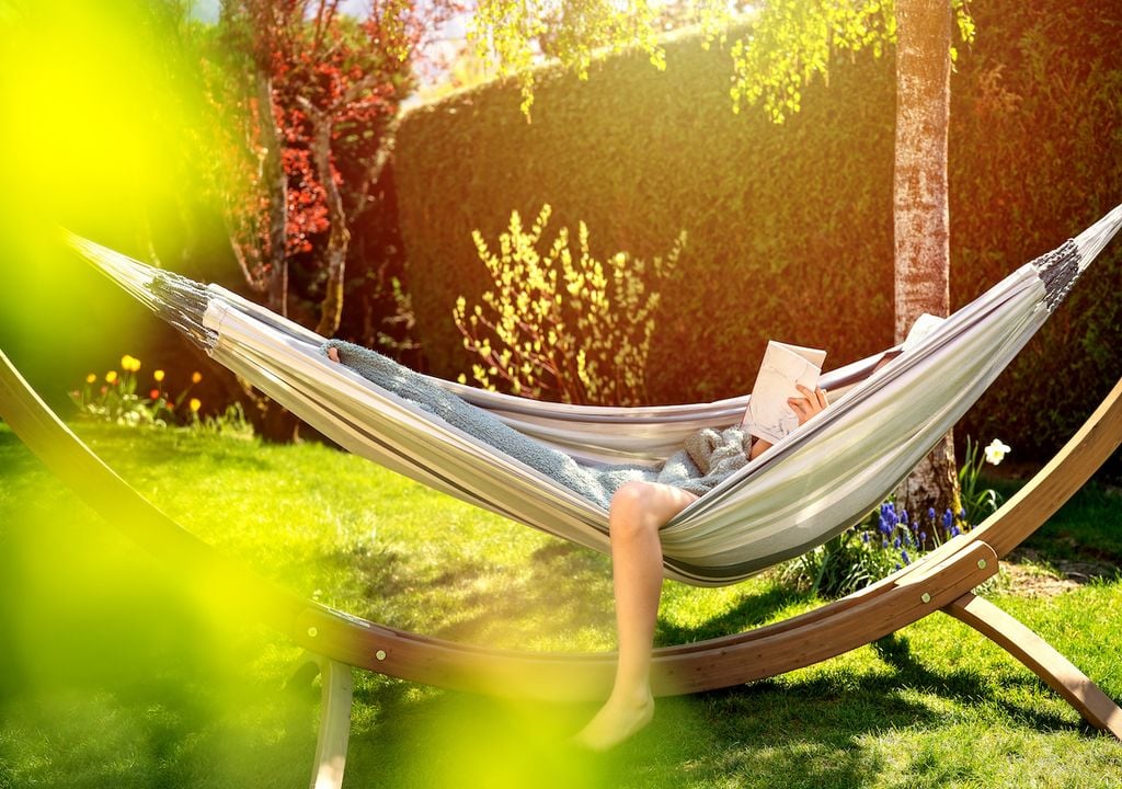 Hammock in garden