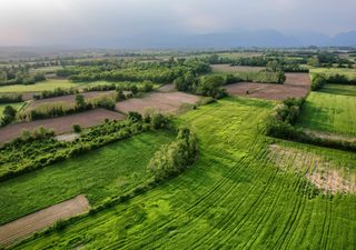 Week-end di caldo e temporali pomeridiani al nord, e poi? Tendenze