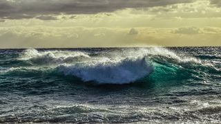 Ce week-end : nouveau coup de vent et fortes pluies