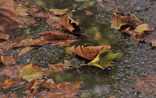 Week-end prolongé : pluies et vent toujours d’actualité !