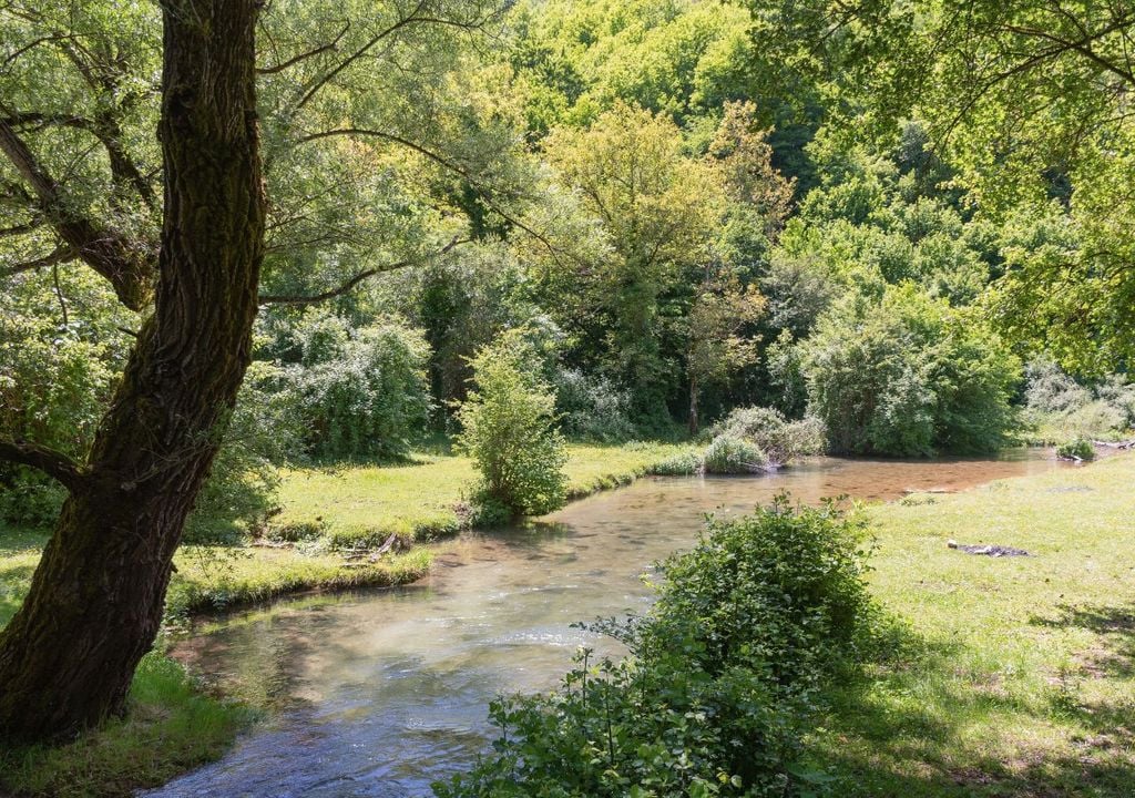 Uno scorcio della Riserva Naturale della Valle dell'Aniene