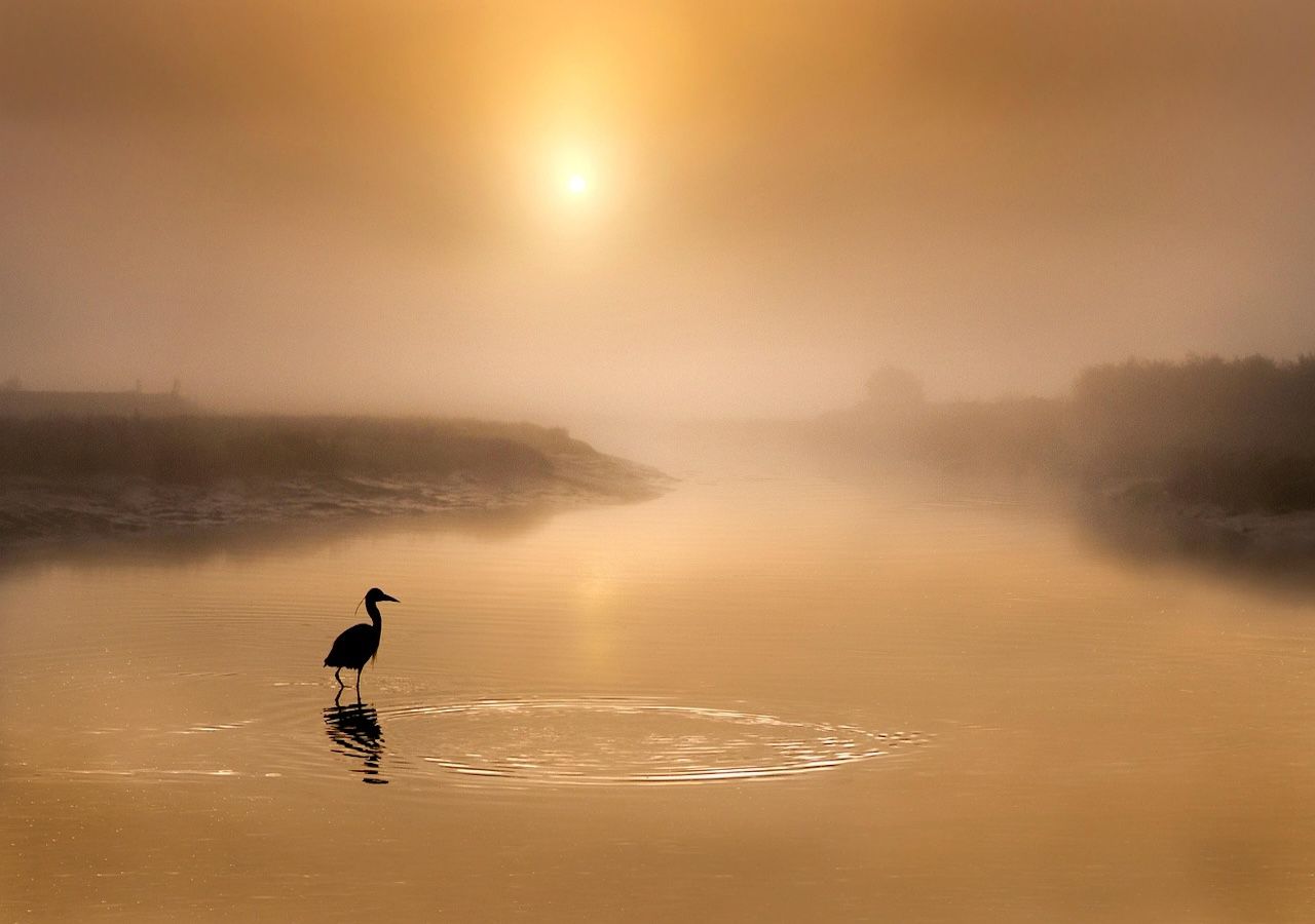 Weekend UK forecast: Rain, frost and showers - is a cold snap on the way?