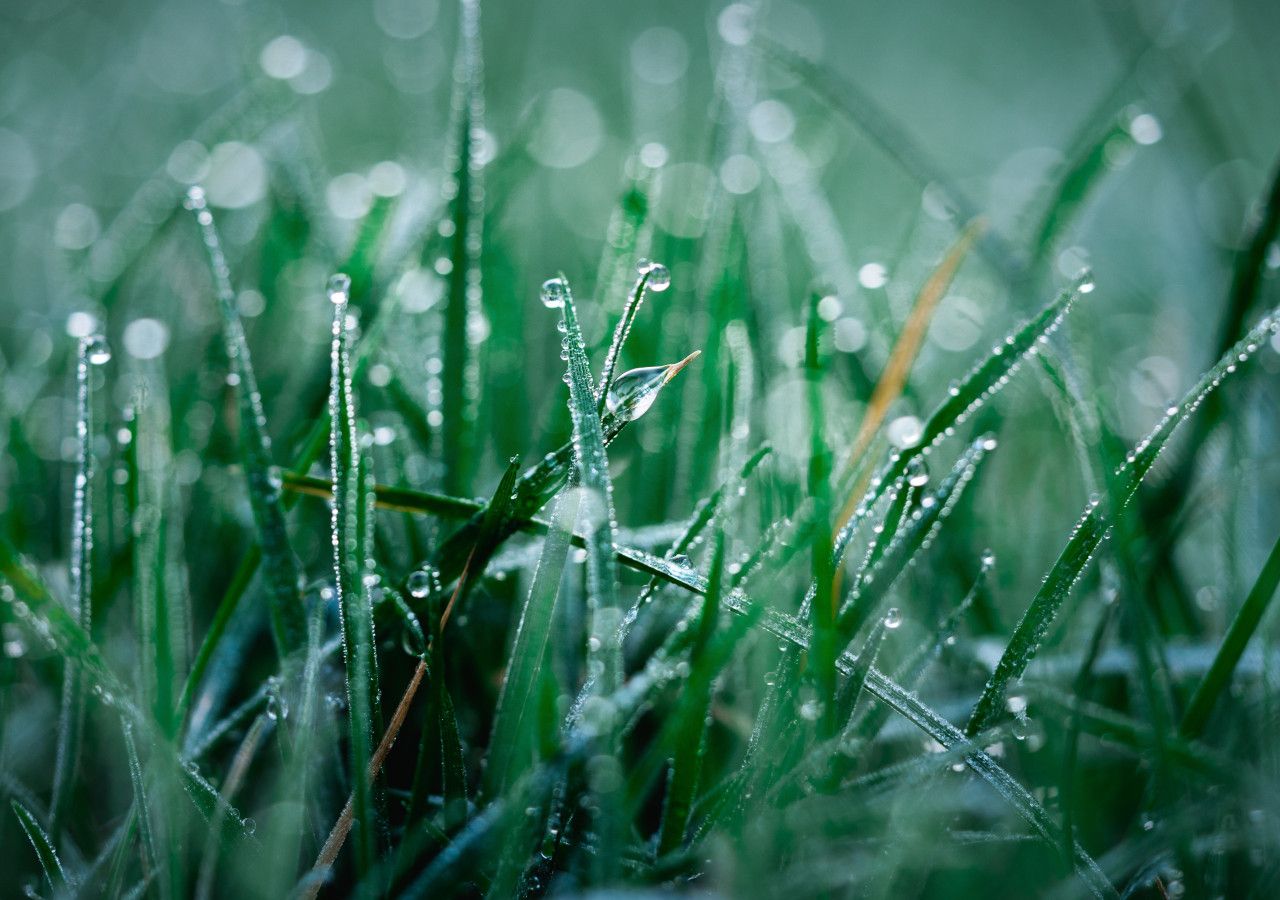 Cold northerly wind to bring first frost of the autumn to UK