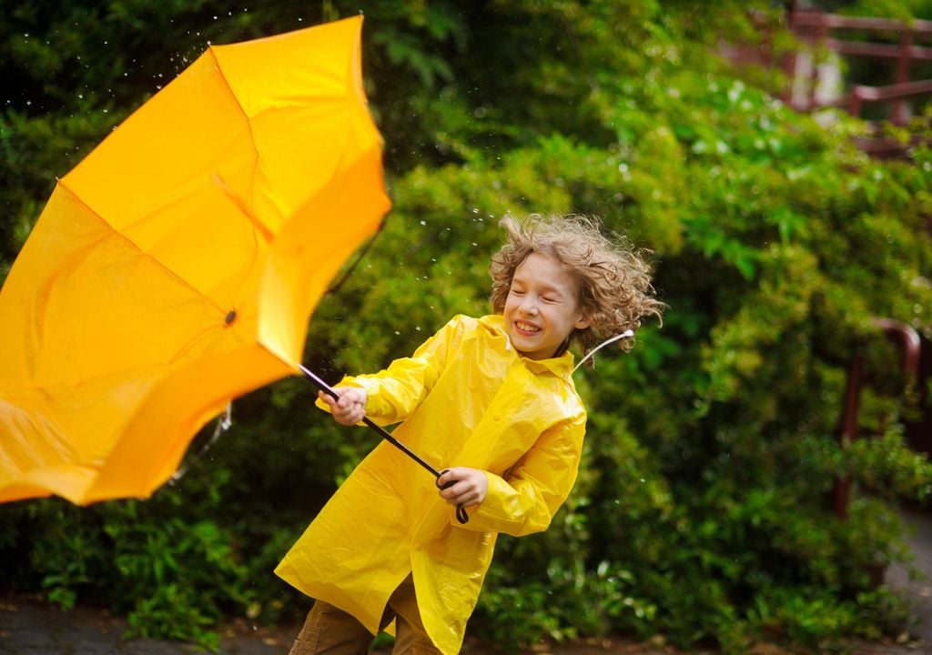 Umbrella wind