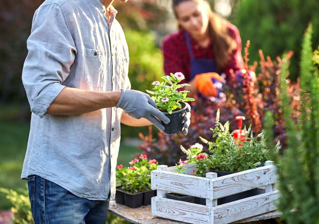 Gardening