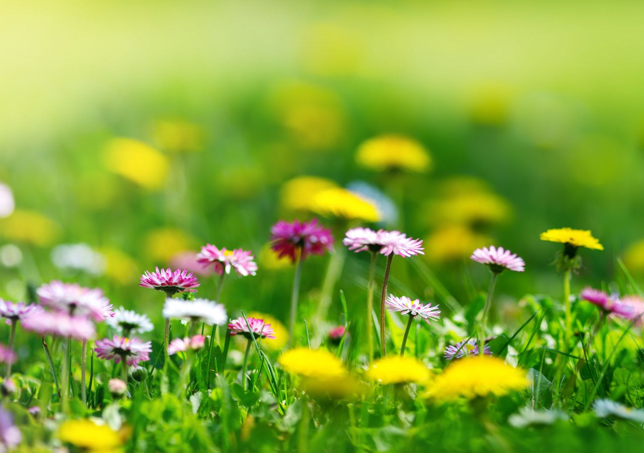 Weekend Weather For The UK Temperatures To Hit 30 C But Rain In The